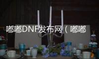 嘟嘟DNF发布网（嘟嘟游戏服务网）