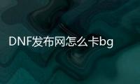 DNF发布网怎么卡bg