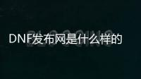 DNF发布网是什么样的