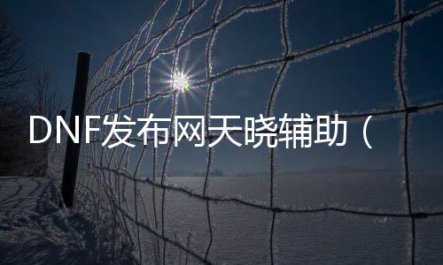 DNF发布网天晓辅助（dnf天羽辅助）