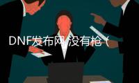 DNF发布网 没有枪（DNF发布网枪是什么枪）