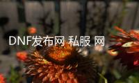 DNF发布网 私服 网关（DNF发布网网关未开放）