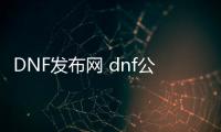 DNF发布网 dnf公益服发布网（dnf公益服发布网版本）