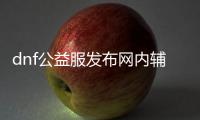 dnf公益服发布网内辅怎么找,公益服发布网内辅推荐