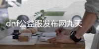 dnf公益服发布网九天揽月玩法攻略,九天揽月最新开服信息