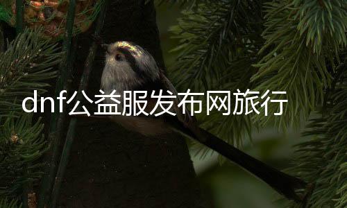 dnf公益服发布网旅行者套装（dnf星空旅行者套装）