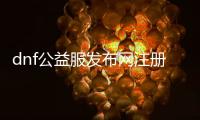 dnf公益服发布网注册上限（dnf公益服发布网什么意思）