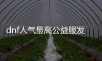 dnf人气最高公益服发布网推荐,最火的dnf公益服发布网排行榜